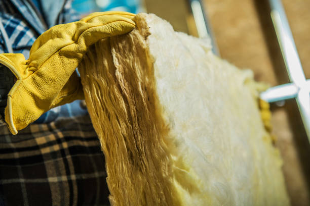 Best Insulation Inspection Services  in Battle Mountain, NV